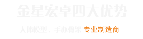 金星宏卓五金